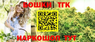амф Обь