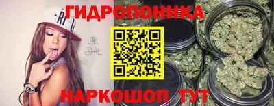 амф Обь